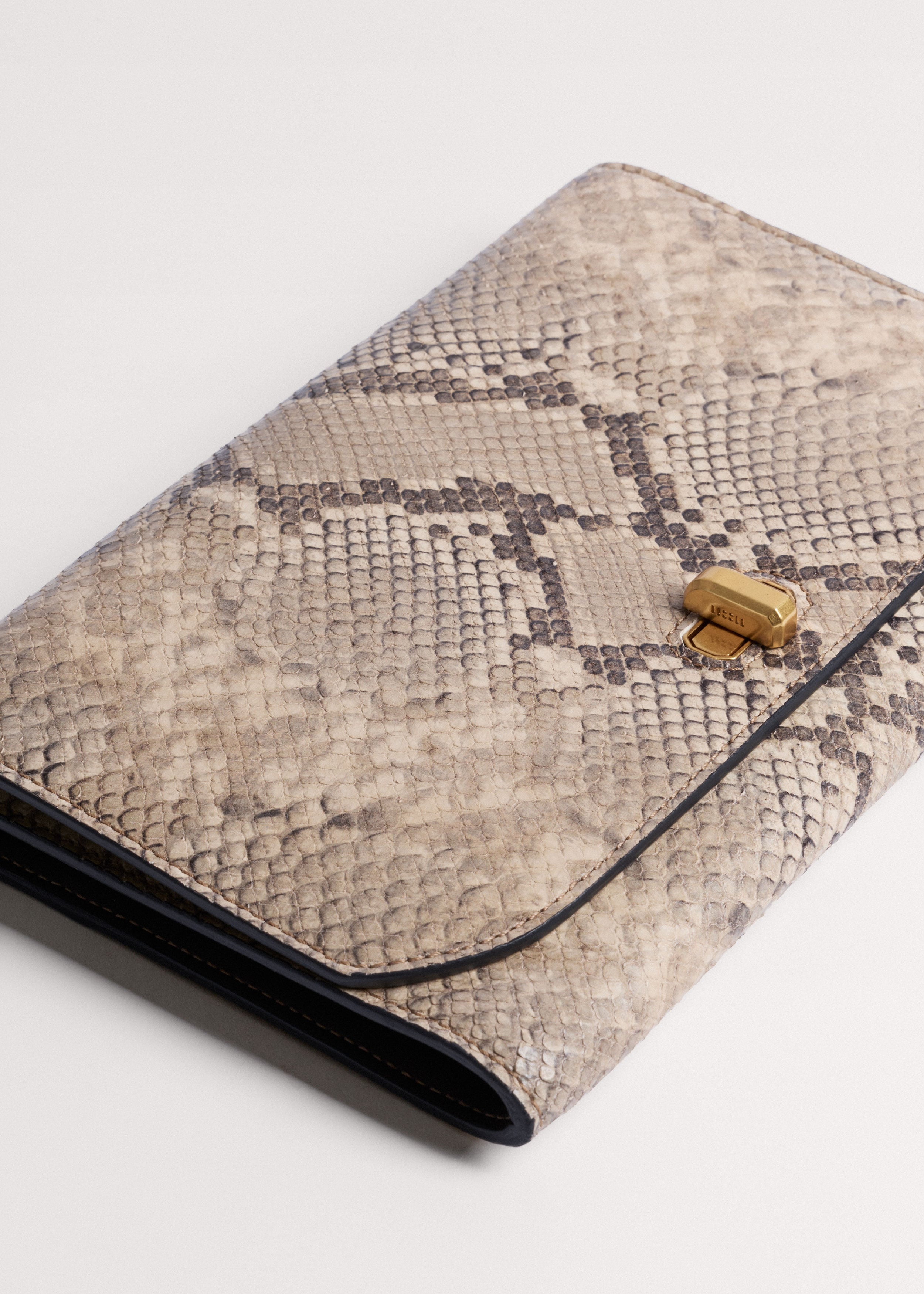 Snake Print Clutch